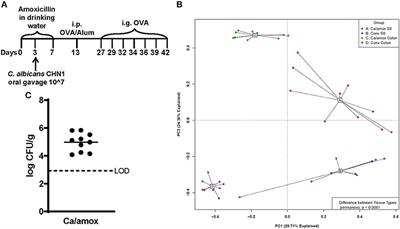 Contribution of the Microbiome, Environment, and Genetics to Mucosal Type 2 Immunity and Anaphylaxis in a Murine Food Allergy Model